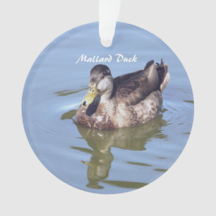 Mallard Duck Photo Ornament