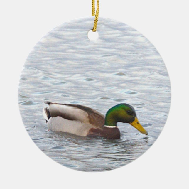 Mallard Duck Photo Ornament  (Front)