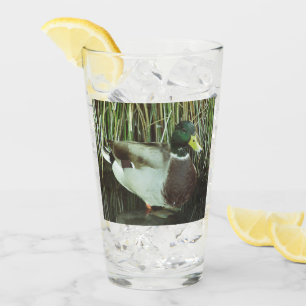 Mallard Duck Photo Outdoorsman Lake Bird Glass