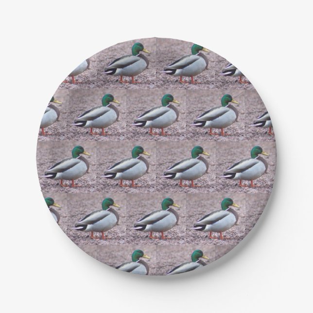 Mallard Duck Photo Paper Plates (Front)