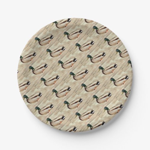 Mallard Duck Photo Paper Plates