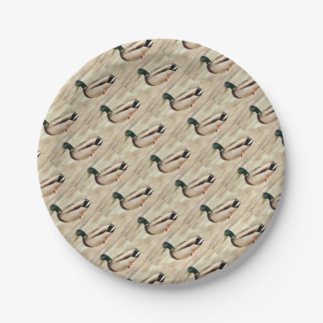 Mallard Duck Photo Paper Plates (Front)