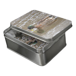 Mallard Duck Photo Puzzle