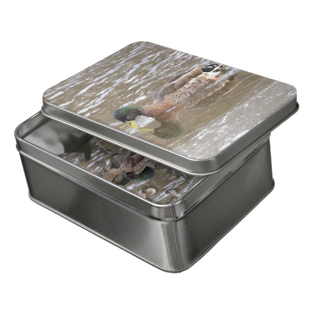 Mallard Duck Photo Puzzle (Lid Open)