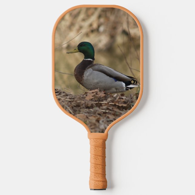 Mallard Duck Pickleball Paddle (Front)