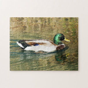 Mallard Duck Puzzle