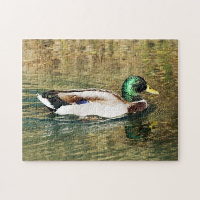 Mallard Duck Puzzle (Horizontal)
