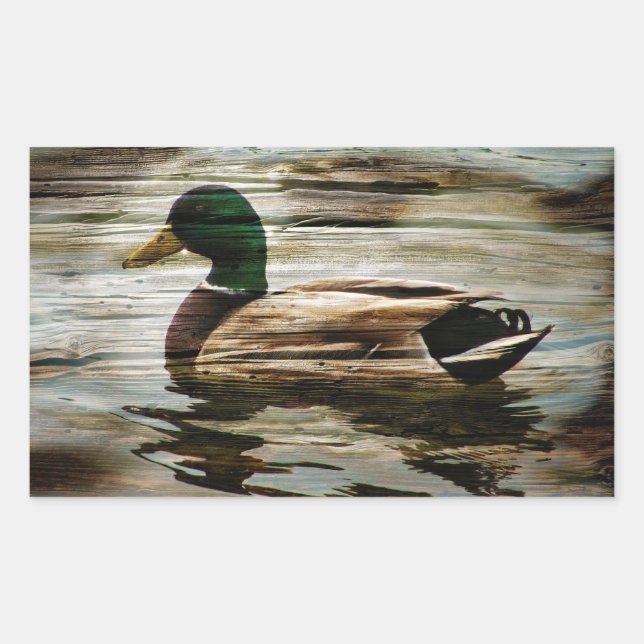 Mallard Duck Rectangular Sticker (Front)