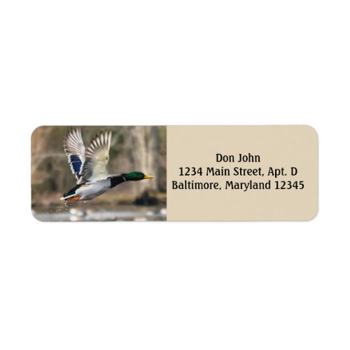 Mallard Duck Return Address Labels