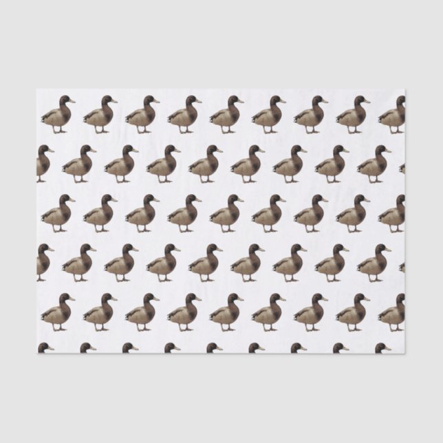 Mallard Duck Sepia Tone Tissue Paper (Front)