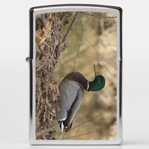 Mallard Duck Sportsman  Zippo Lighter