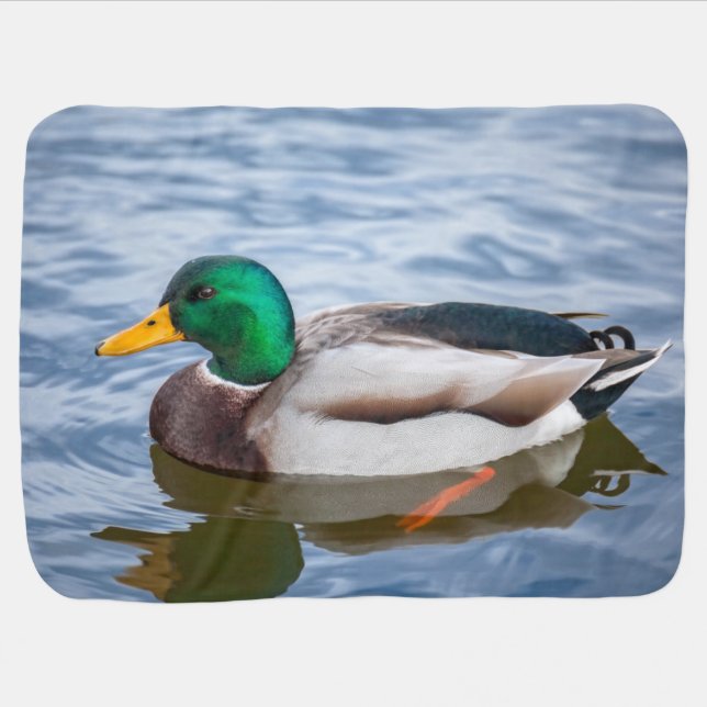 Mallard Duck Stroller Blanket (Horizontal)