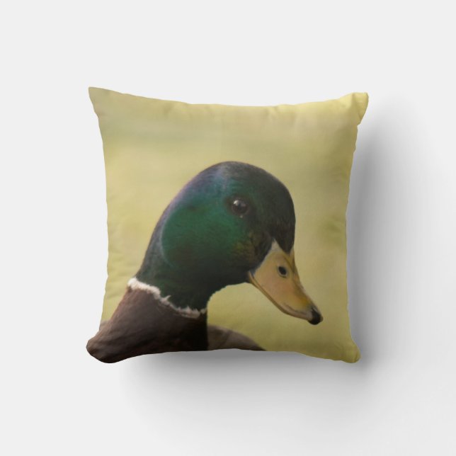 Mallard Duck Throw Pillow (Front)