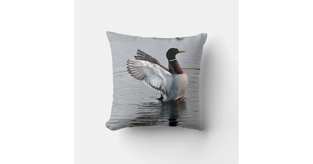 Mallard duck throw pillow | Zazzle