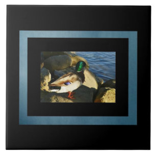 Mallard Duck Tile