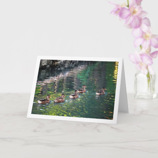 Mallard Duck Water Reflection Portrait Card (Orchid)