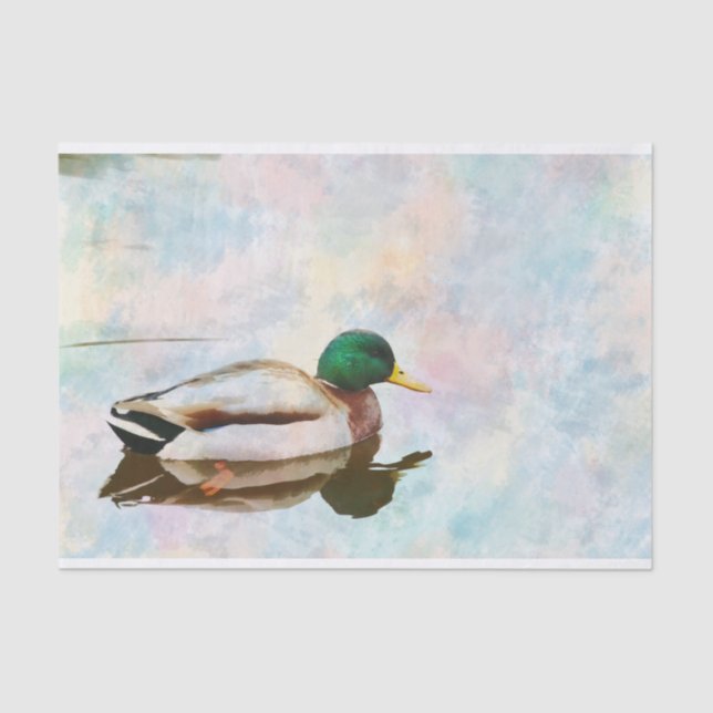 Mallard Duck Watercolor Tissue Paper (Front)
