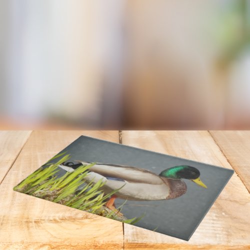 Mallard Duck Wildlife Large Cutting Board