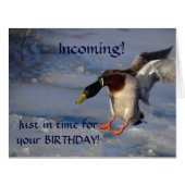 Mallard Duck Wildlife Photo for Bird-lovers (Front Horizontal)