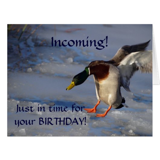 Mallard Duck Wildlife Photo for Bird-lovers (Front Horizontal)