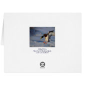 Mallard Duck Wildlife Photo for Bird-lovers (Back Horizontal)