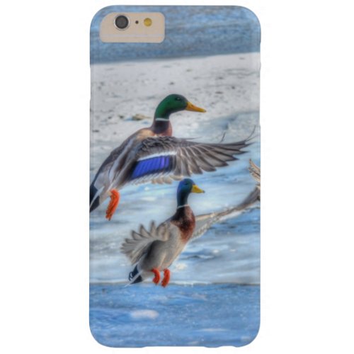 Mallard Duck Wildlife Photo for Bird_lovers Barely There iPhone 6 Plus Case