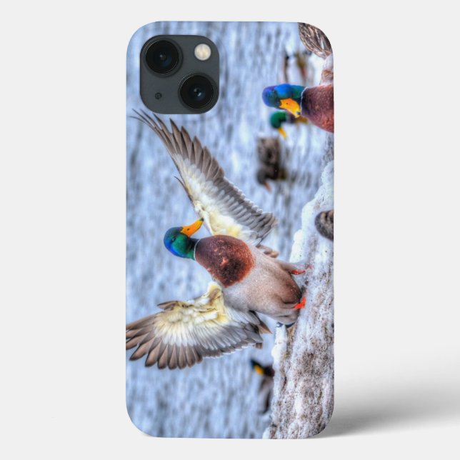 Mallard Duck Wildlife Photo for Bird-lovers Case-Mate iPhone Case (Back)