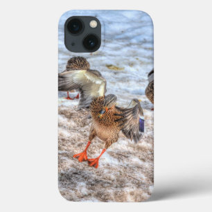 Mallard Duck Wildlife Photo for Bird-lovers iPhone 13 Case