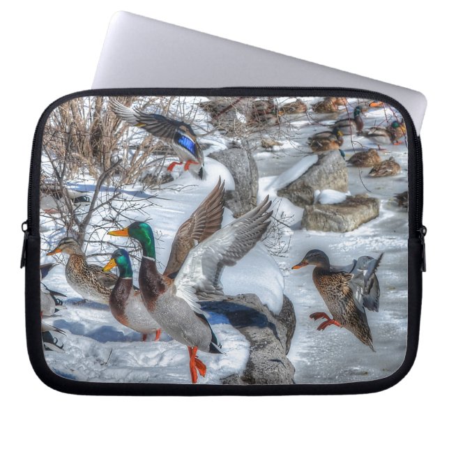 Mallard Duck Wildlife Photo for Bird-lovers Laptop Sleeve (Front)