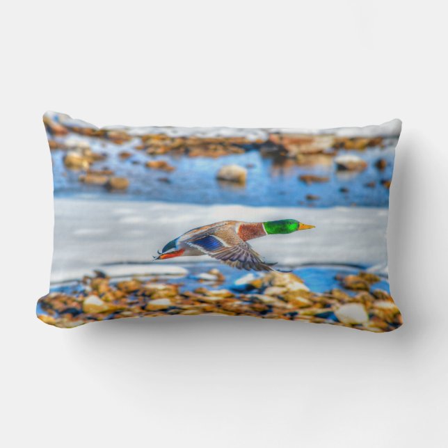 Mallard Duck Wildlife Photo for Bird-lovers Lumbar Pillow (Front)