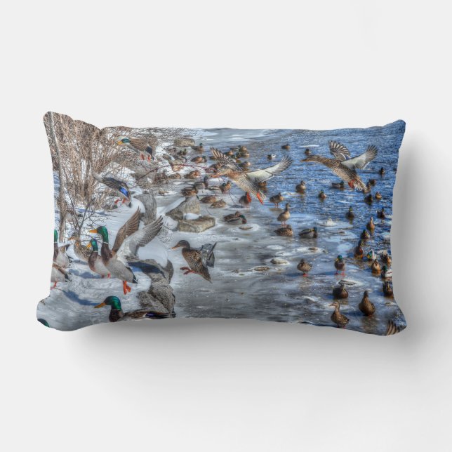 Mallard Duck Wildlife Photo for Bird-lovers Lumbar Pillow (Front)