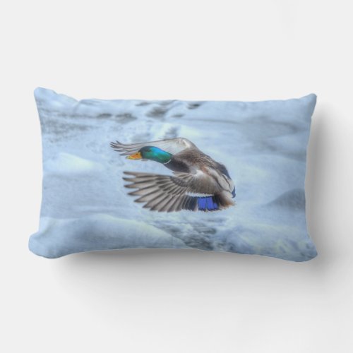 Mallard Duck Wildlife Photo for Bird_lovers Lumbar Pillow