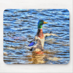 Mallard Duck Wildlife Photo for Bird-lovers Mouse Pad