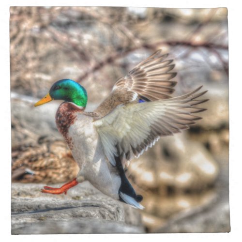Mallard Duck Wildlife Photo for Bird_lovers Napkin