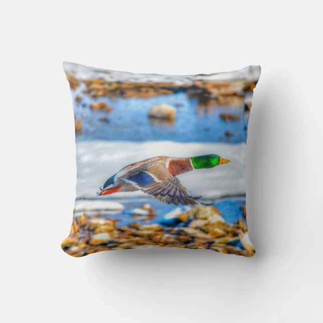 Mallard Duck Wildlife Photo for Bird-lovers Throw Pillow (Front)