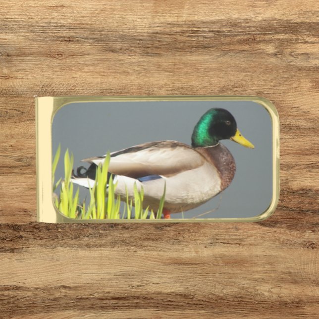 Mallard Duck Wildlife Photo Gold Finish Money Clip (In Situ)