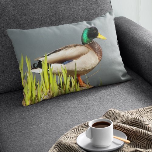 Mallard Duck Wildlife Photo Lumbar Pillow