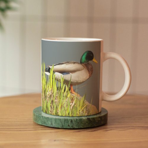 Mallard Duck Wildlife Photo Mug