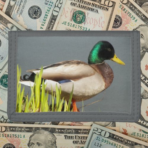 Mallard Duck Wildlife Photo Trifold Wallet