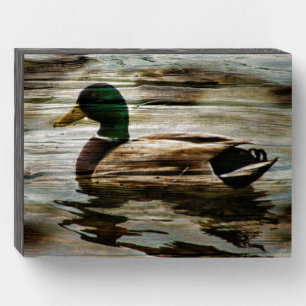 Mallard Duck Wooden Box Sign