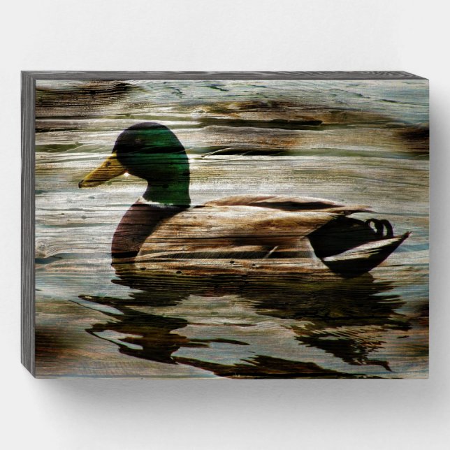 Mallard Duck Wooden Box Sign (Front Horizontal)