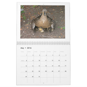 Mallard Duckings Calendar