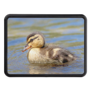 Mallard Duckling Hitch Cover