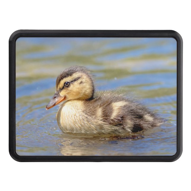 Mallard Duckling Hitch Cover (Front)