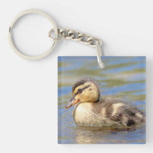 Mallard Duckling Keychain