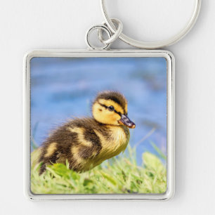Mallard Duckling Keychain