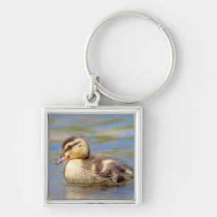 Mallard Duckling Keychain