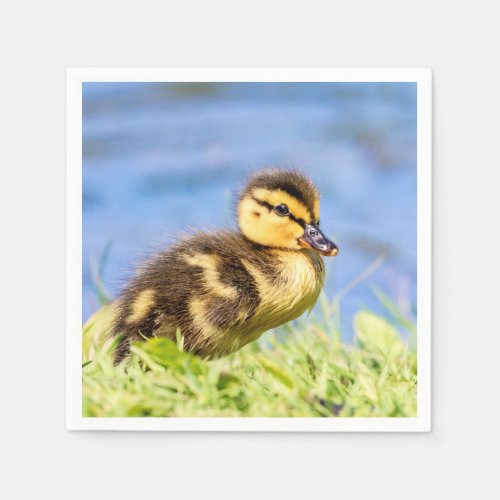 Mallard Duckling Paper Napkins