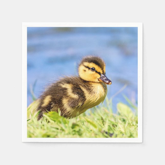 Mallard Duckling Paper Napkins (Front)