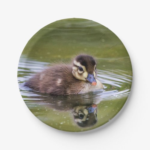 Mallard Duckling Paper Plates